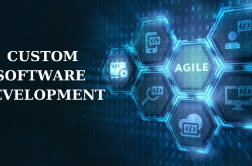 Custom Software Development