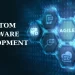Custom Software Development